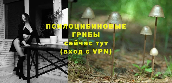 spice Михайловск