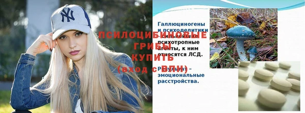 spice Михайловск