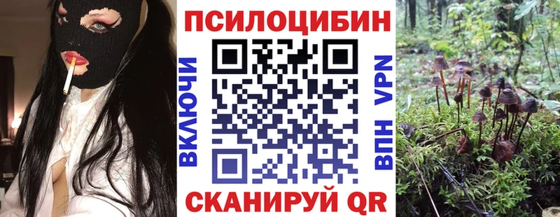 Псилоцибиновые грибы мухоморы  сколько стоит  Ильский 